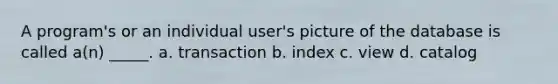 A program's or an individual user's picture of the database is called a(n) _____. a. transaction b. index c. view d. catalog