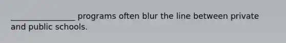 ________________ programs often blur the line between private and public schools.