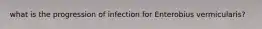 what is the progression of infection for Enterobius vermicularis?