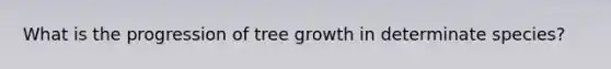 What is the progression of tree growth in determinate species?