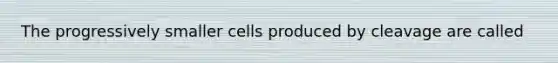 The progressively smaller cells produced by cleavage are called