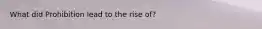 What did Prohibition lead to the rise of?