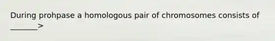 During prohpase a homologous pair of chromosomes consists of _______>