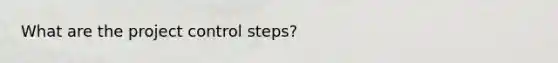 What are the project control steps?