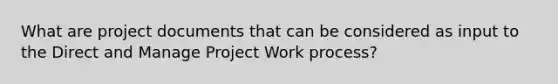 What are project documents that can be considered as input to the Direct and Manage Project Work process?