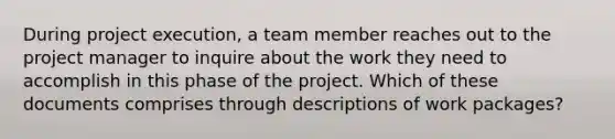 During project execution, a team member reaches out to the project manager to inquire about the work they need to accomplish in this phase of the project. Which of these documents comprises through descriptions of work packages?