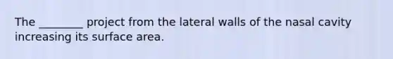 The ________ project from the lateral walls of the nasal cavity increasing its surface area.