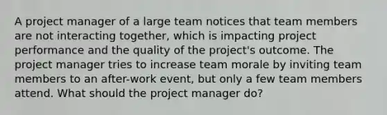 A project manager of a large team notices that team members are not interacting together, which is impacting project performance and the quality of the project's outcome. The project manager tries to increase team morale by inviting team members to an after-work event, but only a few team members attend. What should the project manager do?