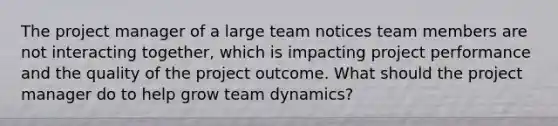 The project manager of a large team notices team members are not interacting together, which is impacting project performance and the quality of the project outcome. What should the project manager do to help grow team dynamics?