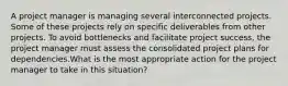 A project manager is managing several interconnected projects. Some of these projects rely on specific deliverables from other projects. To avoid bottlenecks and facilitate project success, the project manager must assess the consolidated project plans for dependencies.What is the most appropriate action for the project manager to take in this situation?