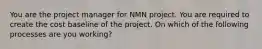 You are the project manager for NMN project. You are required to create the cost baseline of the project. On which of the following processes are you working?