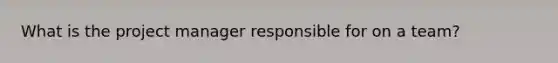 What is the project manager responsible for on a team?