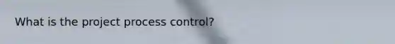 What is the project process control?