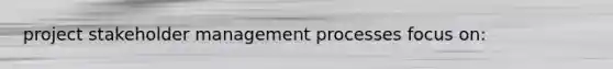 project stakeholder management processes focus on: