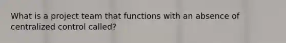 What is a project team that functions with an absence of centralized control called?