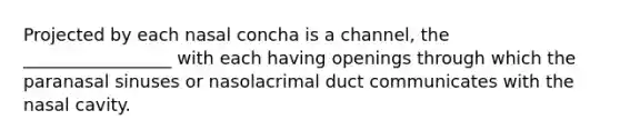 Projected by each nasal concha is a channel, the _________________ with each having openings through which the paranasal sinuses or nasolacrimal duct communicates with the nasal cavity.