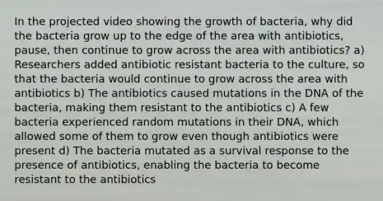 In the projected video showing the growth of bacteria, why did the bacteria grow up to the edge of the area with antibiotics, pause, then continue to grow across the area with antibiotics? a) Researchers added antibiotic resistant bacteria to the culture, so that the bacteria would continue to grow across the area with antibiotics b) The antibiotics caused mutations in the DNA of the bacteria, making them resistant to the antibiotics c) A few bacteria experienced random mutations in their DNA, which allowed some of them to grow even though antibiotics were present d) The bacteria mutated as a survival response to the presence of antibiotics, enabling the bacteria to become resistant to the antibiotics