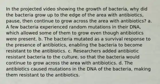 In the projected video showing the growth of bacteria, why did the bacteria grow up to the edge of the area with antibiotics, pause, then continue to grow across the area with antibiotics? a. A few bacteria experienced random mutations in their DNA, which allowed some of them to grow even though antibiotics were present. b. The bacteria mutated as a survival response to the presence of antibiotics, enabling the bacteria to become resistant to the antibiotics. c. Researchers added antibiotic resistant bacteria to the culture, so that the bacteria would continue to grow across the area with antibiotics. d. The antibiotics caused mutations in the DNA of the bacteria, making them resistant to the antibiotics.