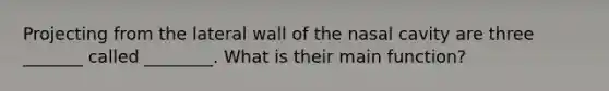 Projecting from the lateral wall of the nasal cavity are three _______ called ________. What is their main function?