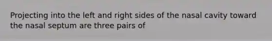 Projecting into the left and right sides of the nasal cavity toward the nasal septum are three pairs of