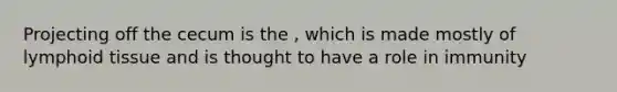 Projecting off the cecum is the , which is made mostly of lymphoid tissue and is thought to have a role in immunity