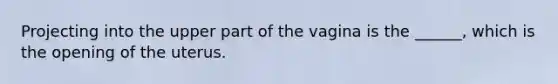 Projecting into the upper part of the vagina is the ______, which is the opening of the uterus.