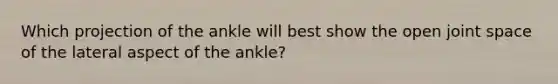 Which projection of the ankle will best show the open joint space of the lateral aspect of the ankle?