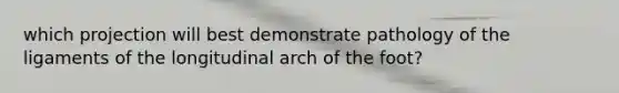 which projection will best demonstrate pathology of the ligaments of the longitudinal arch of the foot?