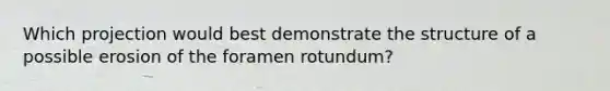 Which projection would best demonstrate the structure of a possible erosion of the foramen rotundum?