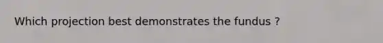 Which projection best demonstrates the fundus ?