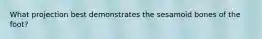 What projection best demonstrates the sesamoid bones of the foot?