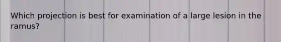 Which projection is best for examination of a large lesion in the ramus?