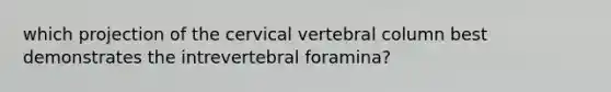 which projection of the cervical vertebral column best demonstrates the intrevertebral foramina?