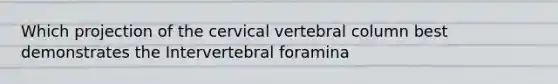 Which projection of the cervical <a href='https://www.questionai.com/knowledge/ki4fsP39zf-vertebral-column' class='anchor-knowledge'>vertebral column</a> best demonstrates the Intervertebral foramina