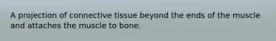 A projection of <a href='https://www.questionai.com/knowledge/kYDr0DHyc8-connective-tissue' class='anchor-knowledge'>connective tissue</a> beyond the ends of the muscle and attaches the muscle to bone.