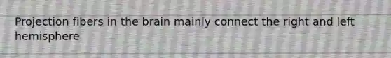 Projection fibers in the brain mainly connect the right and left hemisphere