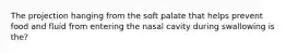 The projection hanging from the soft palate that helps prevent food and fluid from entering the nasal cavity during swallowing is the?
