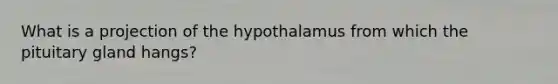 What is a projection of the hypothalamus from which the pituitary gland hangs?