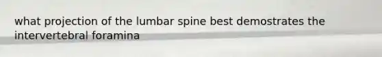 what projection of the lumbar spine best demostrates the intervertebral foramina