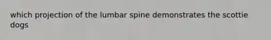 which projection of the lumbar spine demonstrates the scottie dogs