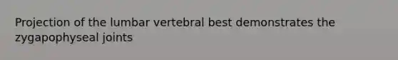 Projection of the lumbar vertebral best demonstrates the zygapophyseal joints