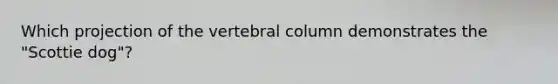 Which projection of the vertebral column demonstrates the "Scottie dog"?