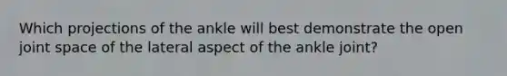 Which projections of the ankle will best demonstrate the open joint space of the lateral aspect of the ankle joint?