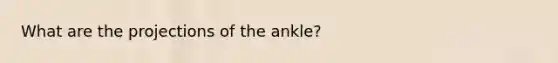 What are the projections of the ankle?