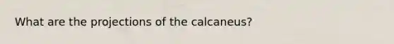 What are the projections of the calcaneus?