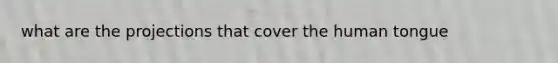 what are the projections that cover the human tongue