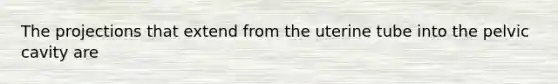 The projections that extend from the uterine tube into the pelvic cavity are