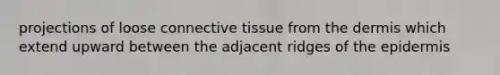 projections of loose connective tissue from the dermis which extend upward between the adjacent ridges of the epidermis