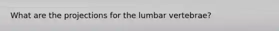 What are the projections for the lumbar vertebrae?