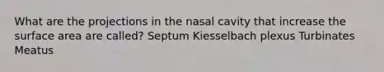 What are the projections in the nasal cavity that increase the surface area are called? Septum Kiesselbach plexus Turbinates Meatus